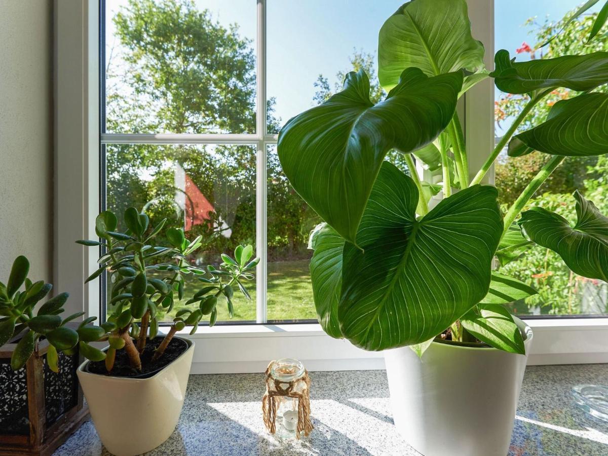 Nice Flat With Sauna Covered Terrace Garden And Tree House For Children Zandt Екстериор снимка